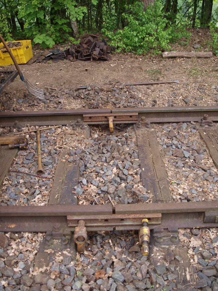 P5010410.JPG