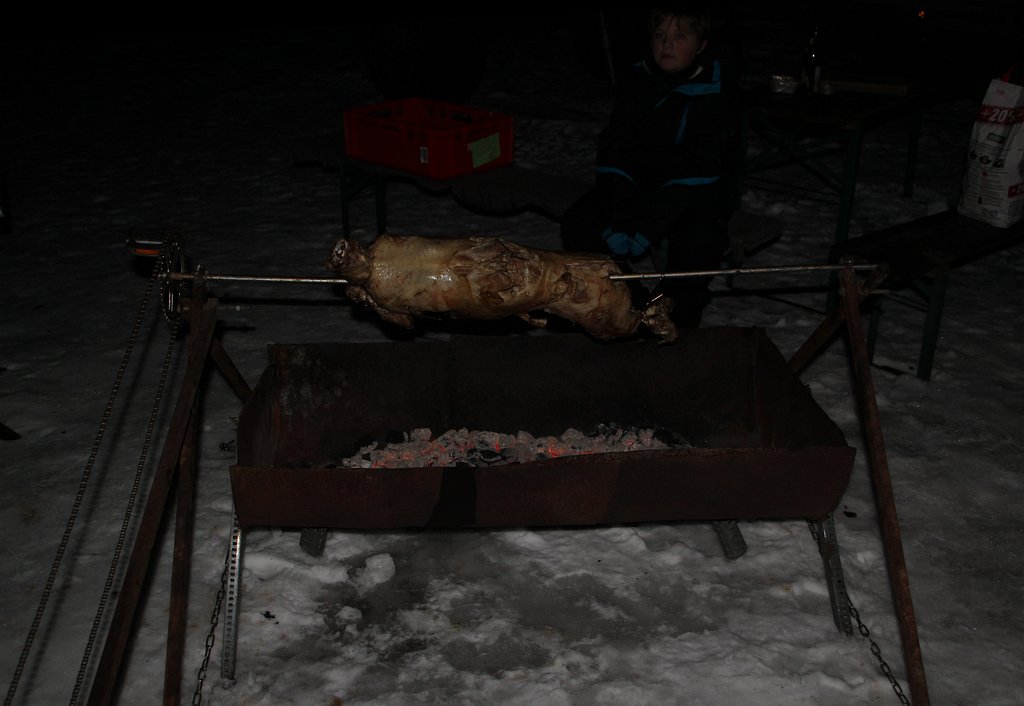 IMG_5420.jpg