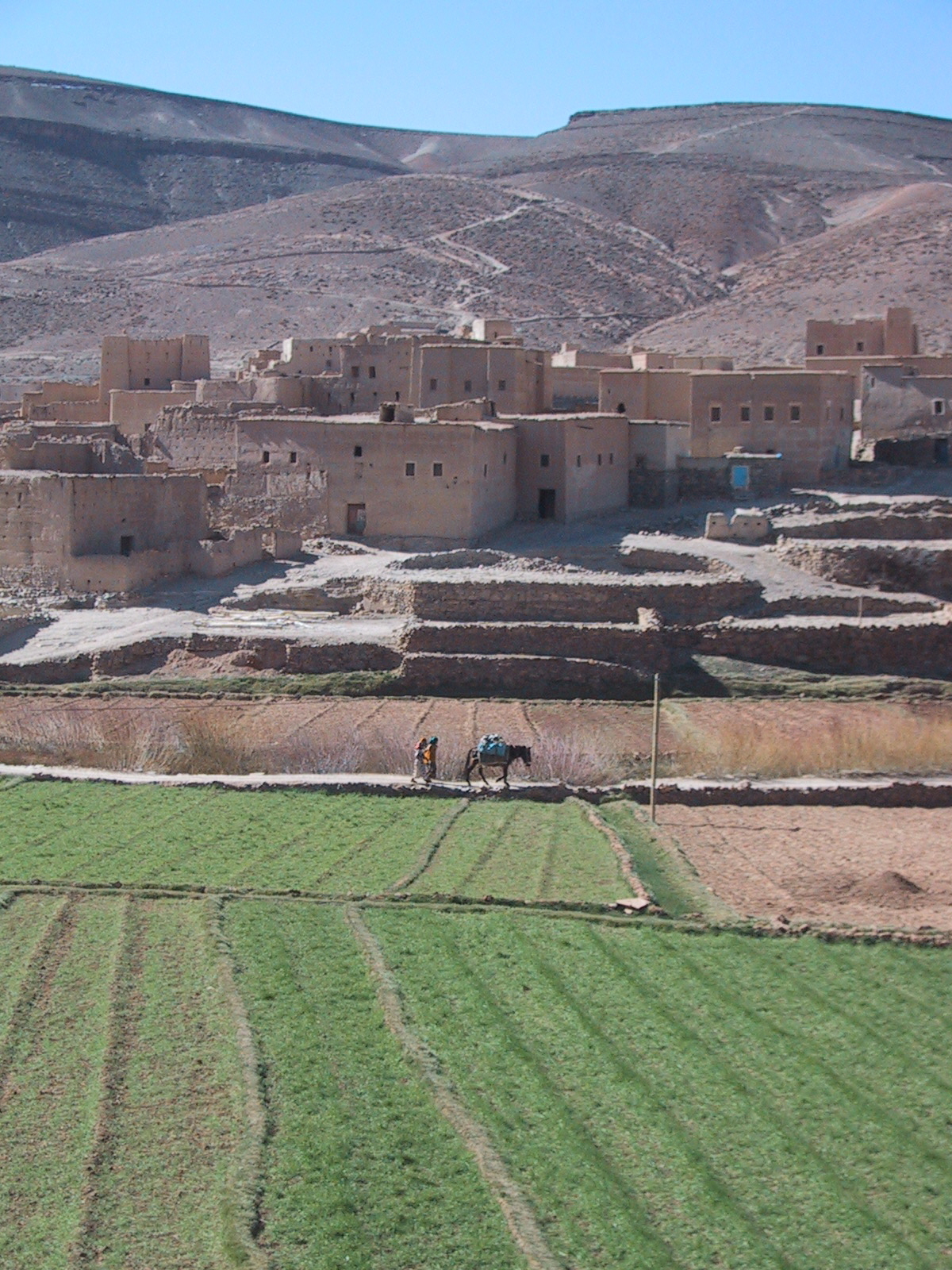 112-1240_IMG.JPG