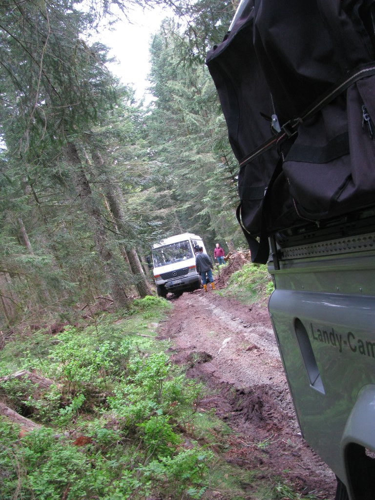 20110427_125039p.jpg