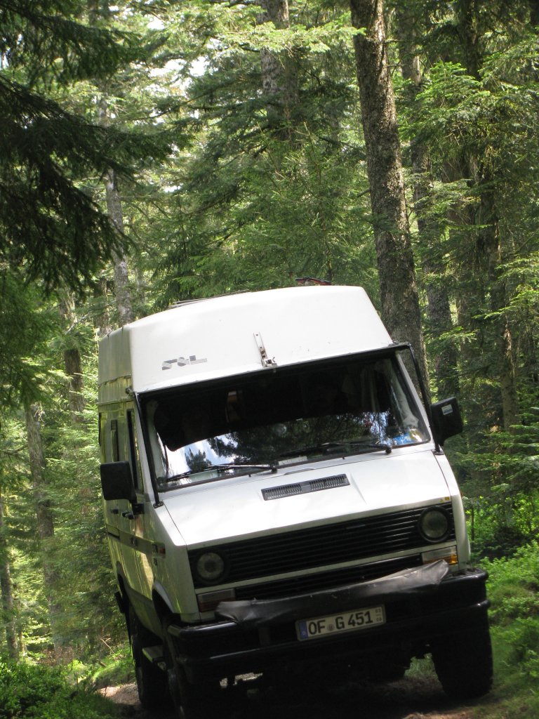 20110427_125125p.jpg
