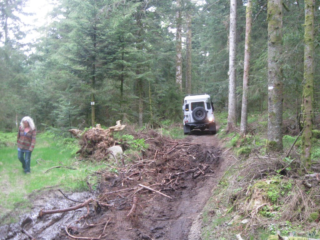 20110427_125806f.jpg