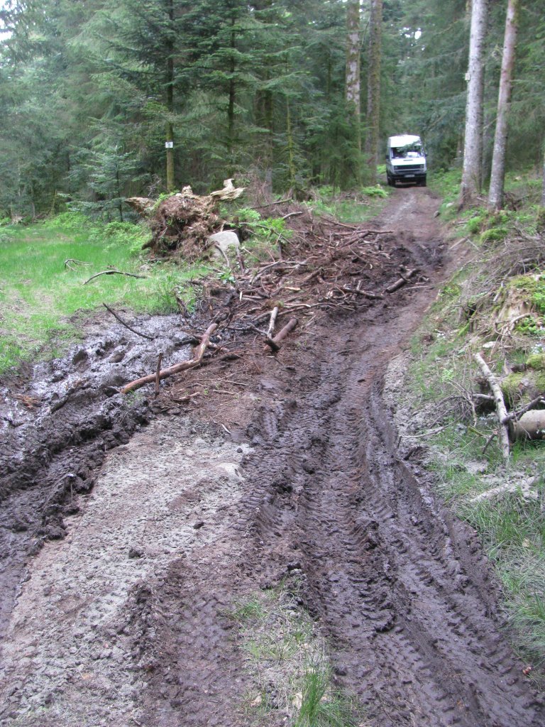 20110427_125936p.jpg