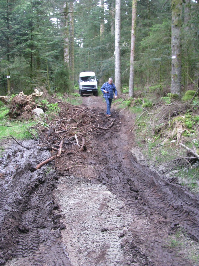 20110427_130034p.jpg