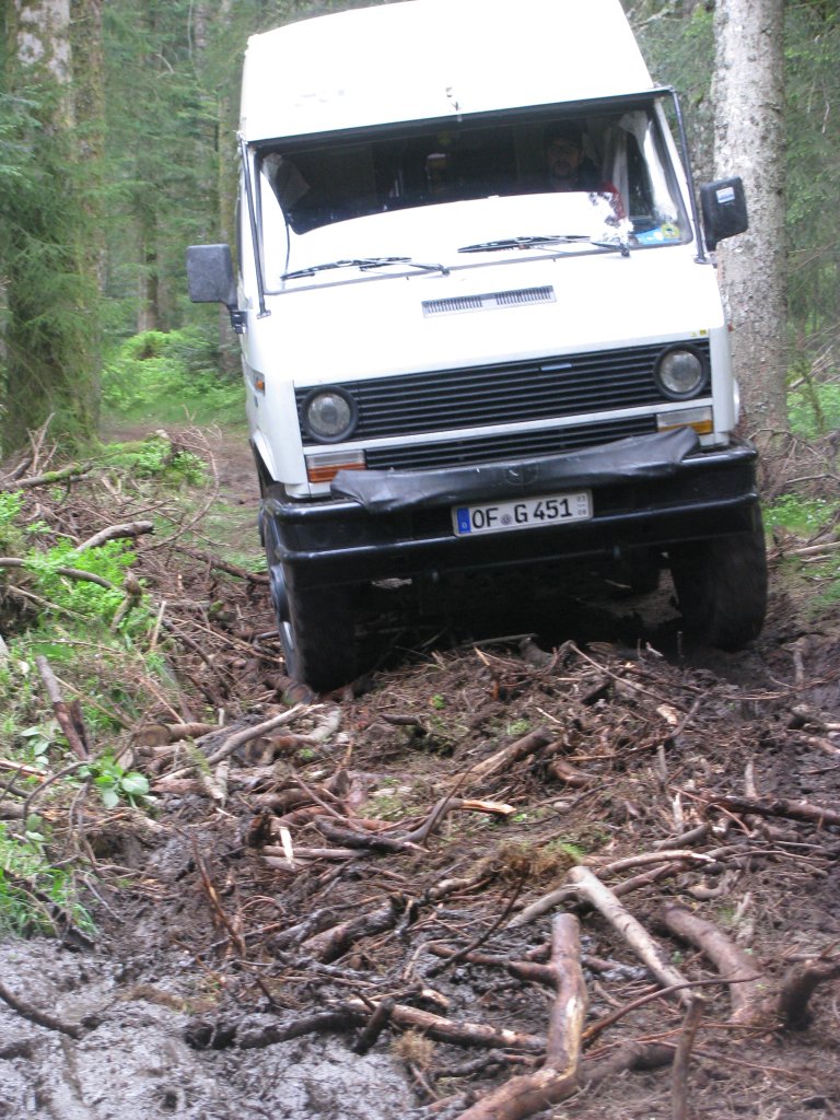 20110427_130103p.jpg