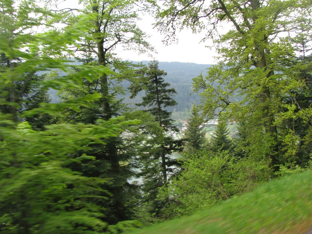 20110428_114123p.jpg