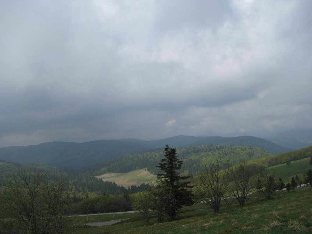 20110428_115524p.jpg