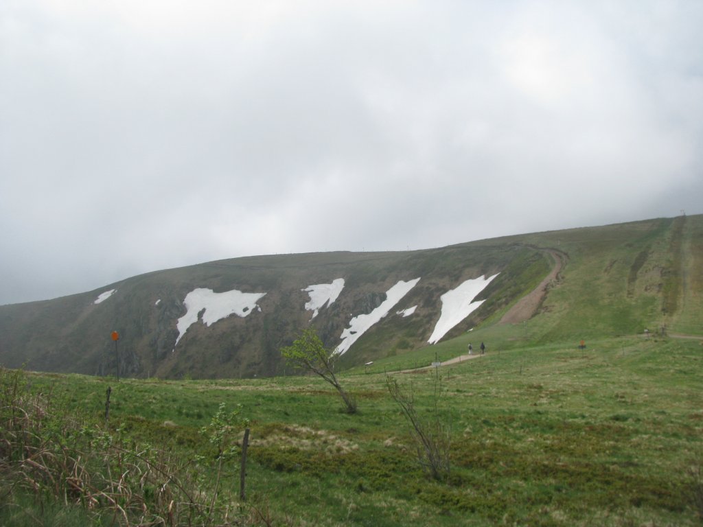 20110428_115549p.jpg