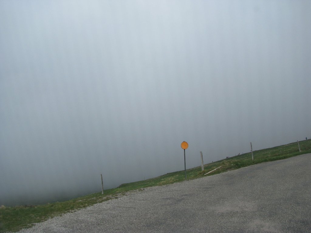 20110428_115648p.jpg