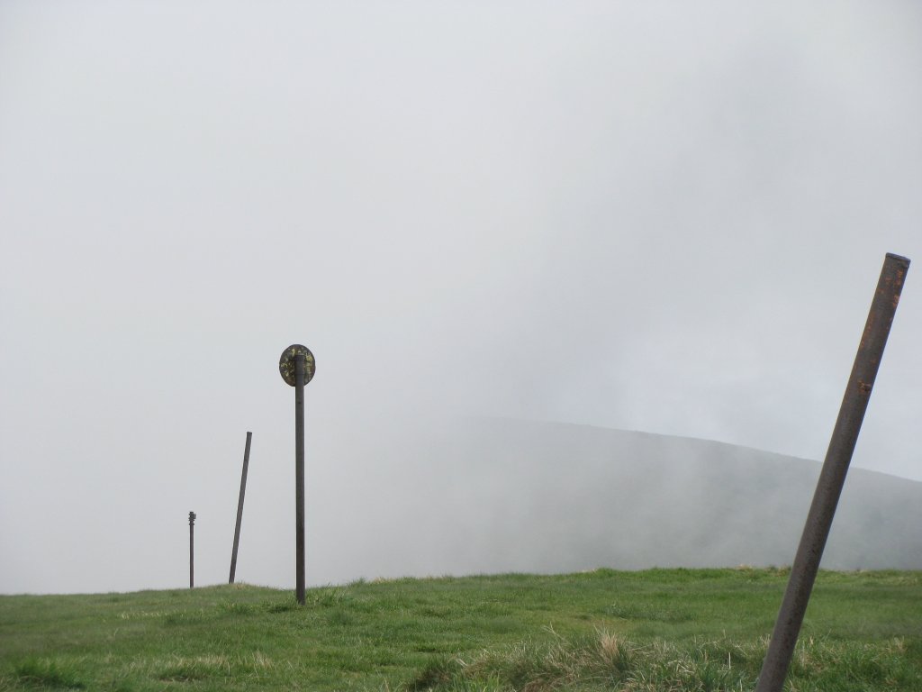 20110428_120942p.jpg