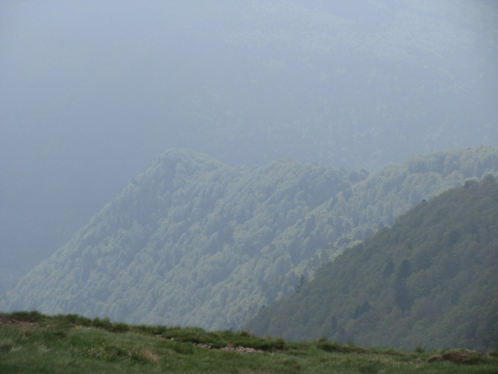 20110428_121300p.jpg