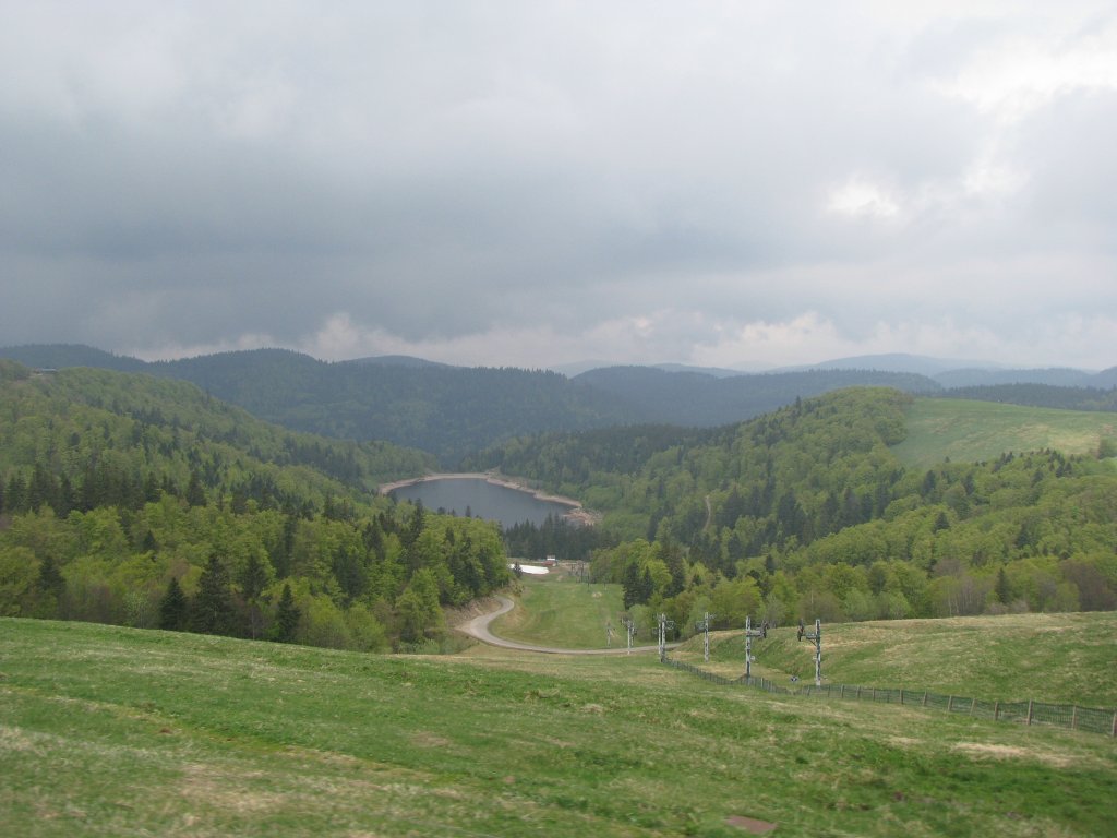 20110428_122519p.jpg