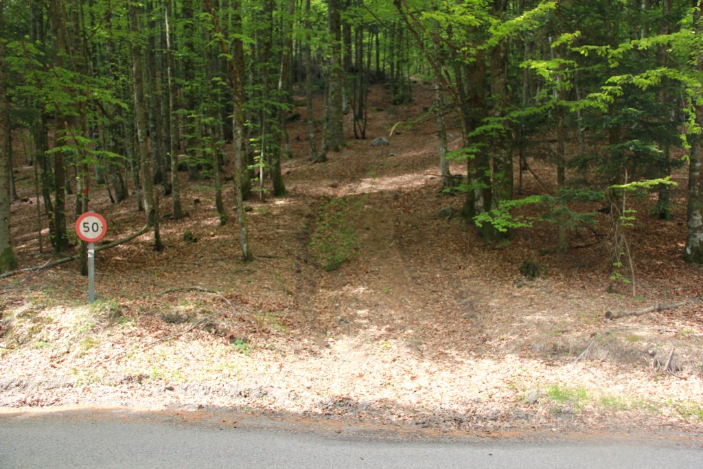 20110428_131806u.jpg