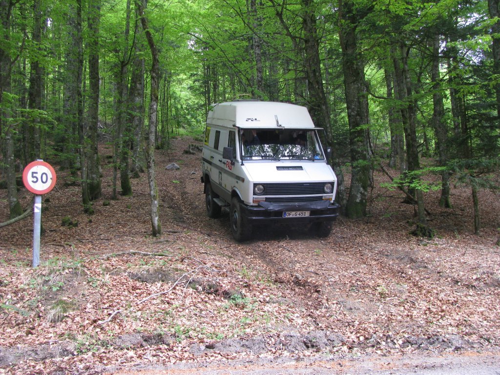 20110428_132558p.jpg