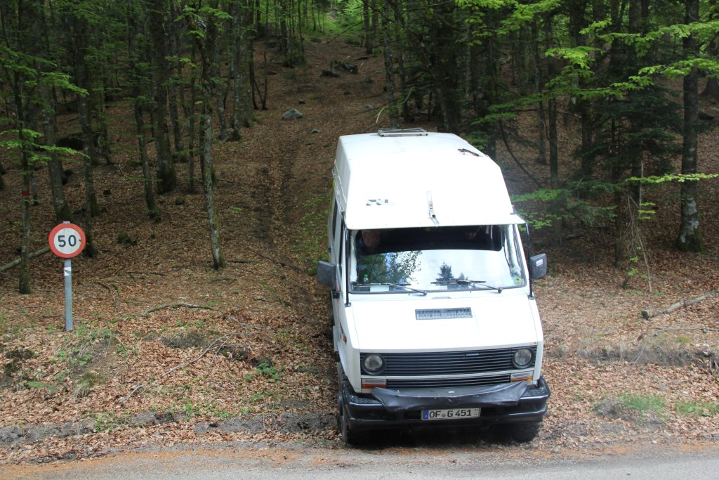 20110428_132641u.jpg
