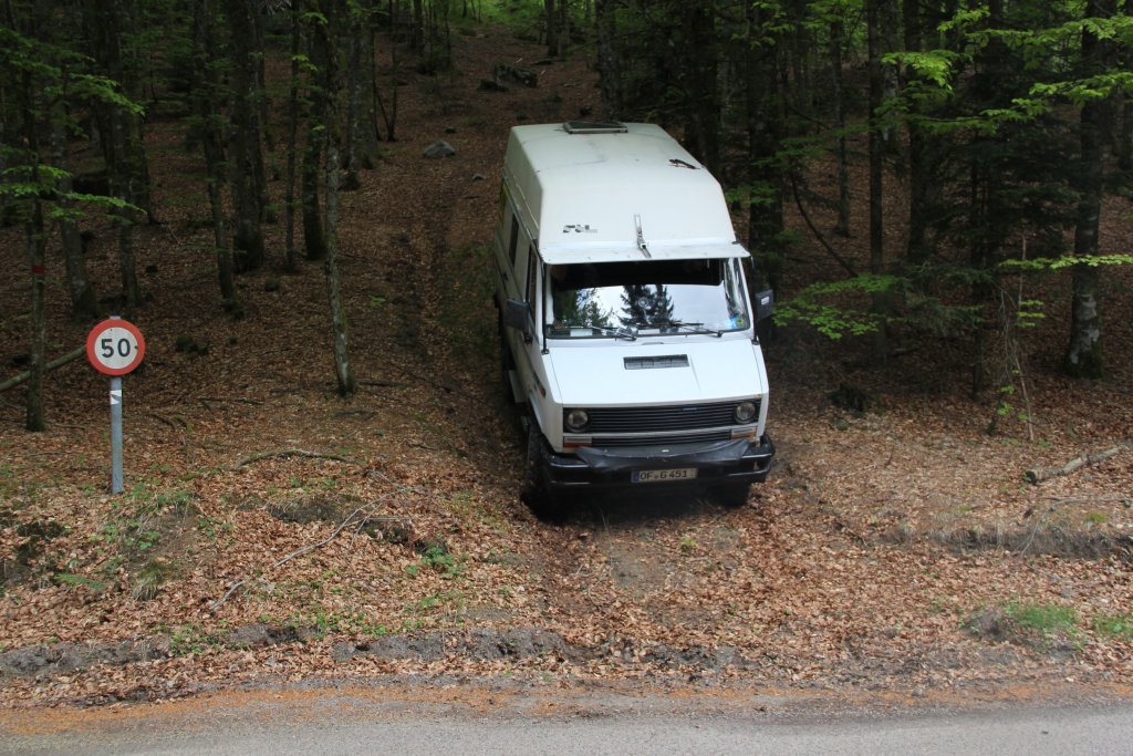 20110428_132652u.jpg