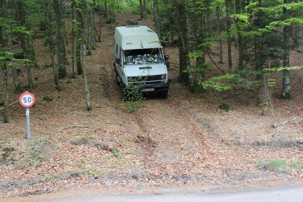 20110428_132704u.jpg