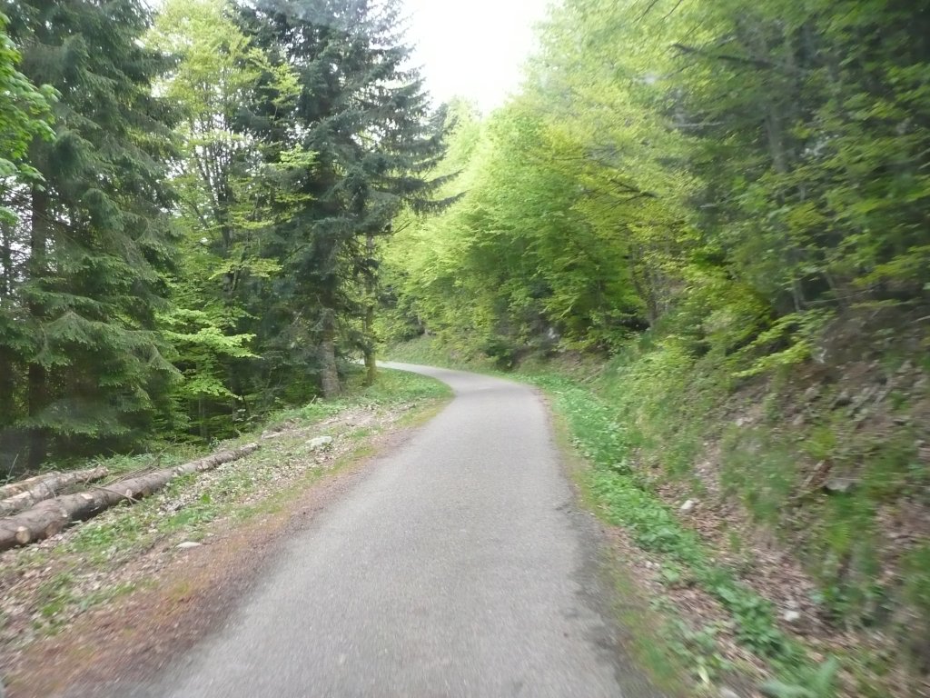 20110428_133516c.jpg