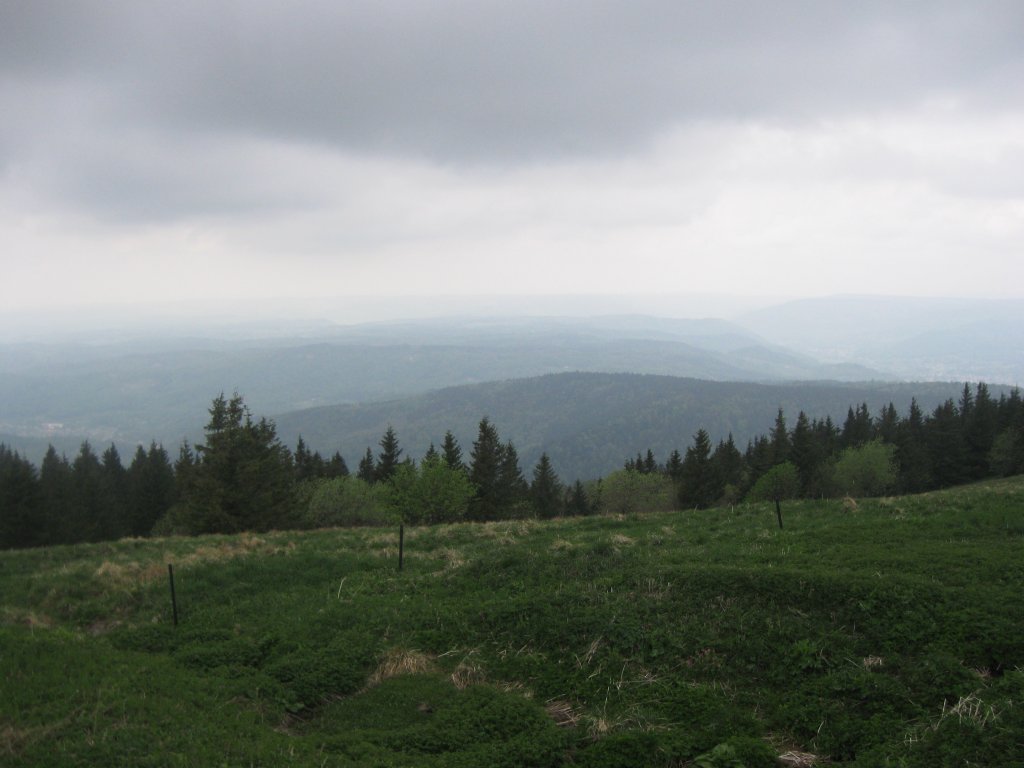 20110428_142539f.jpg