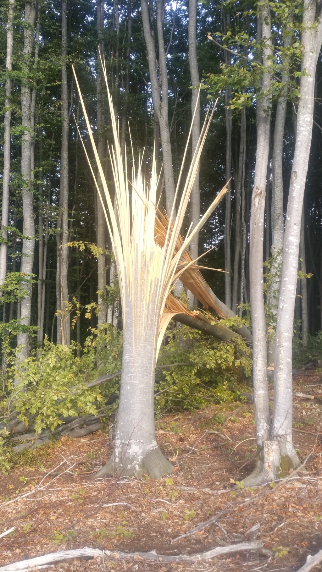 20170919_161518.jpg