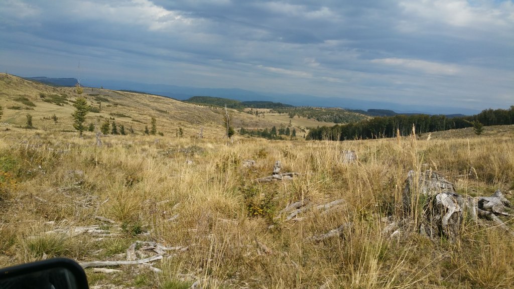 IMG-20170919-WA0000.jpg