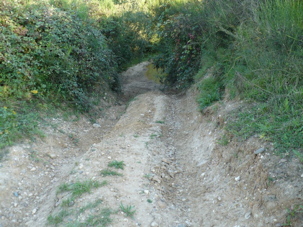 P1000264.jpg