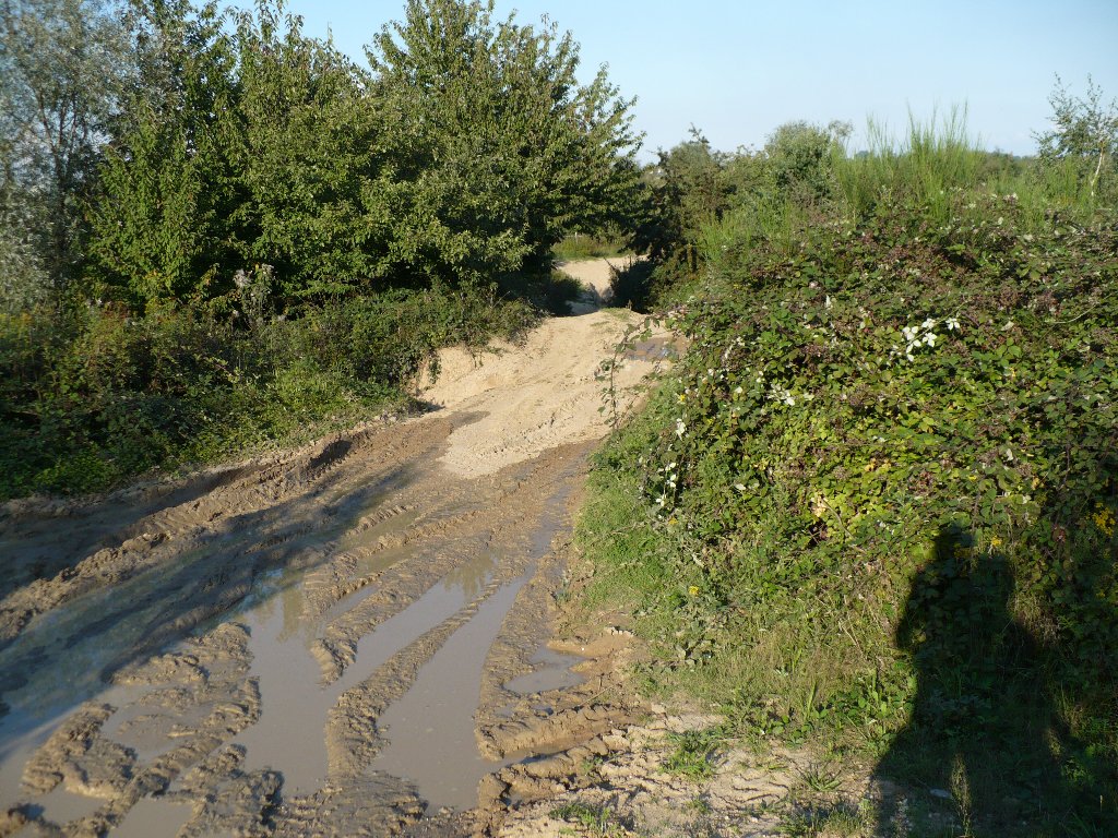 P1000265.jpg