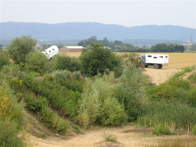 Afbeelding--Juli-08-099.jpg