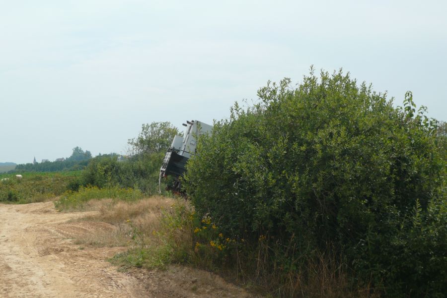P1000947.JPG