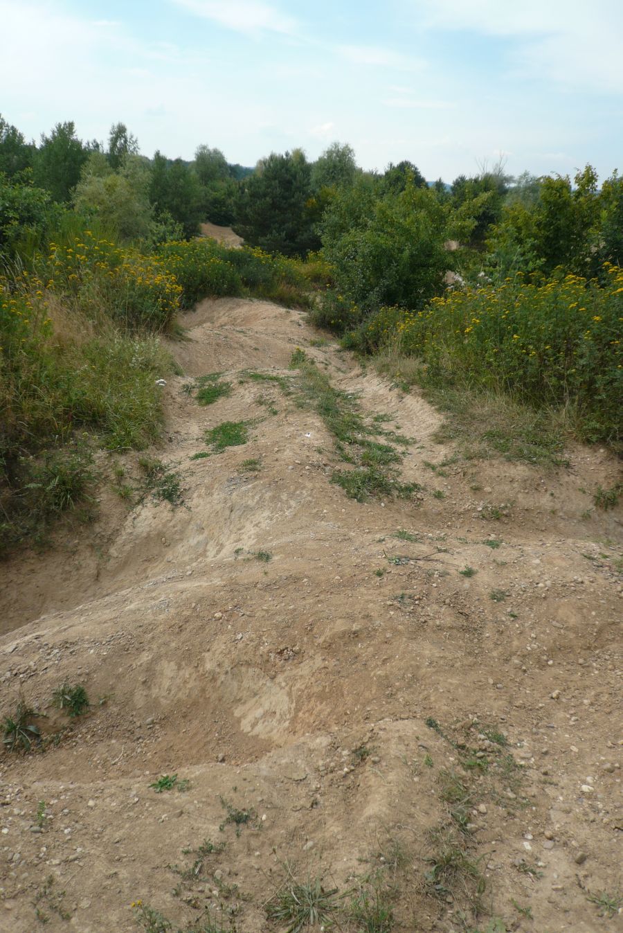P1000969.JPG