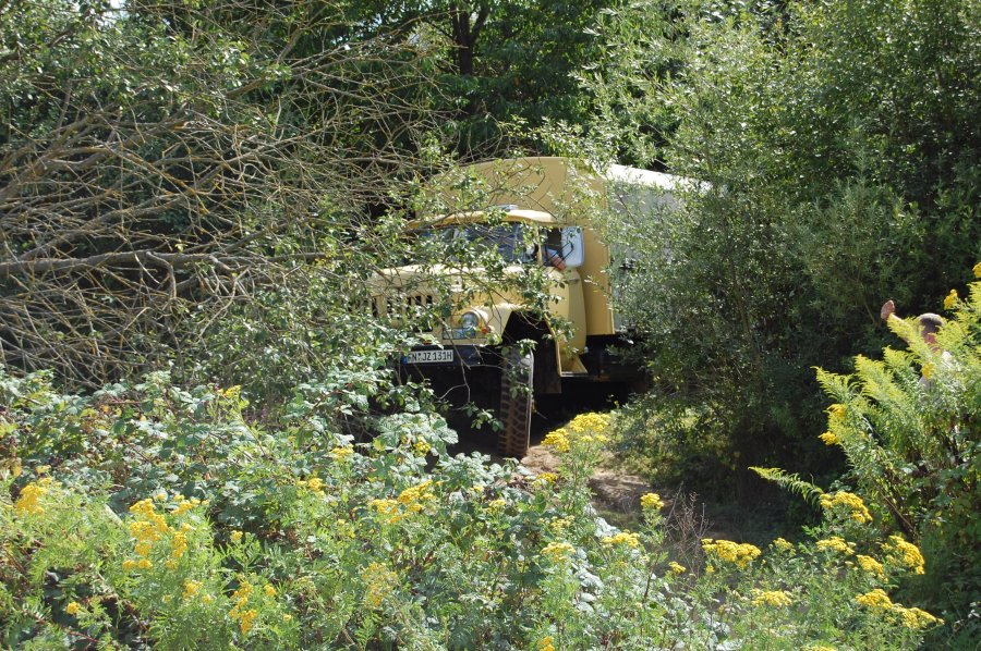 DSC_0141.JPG