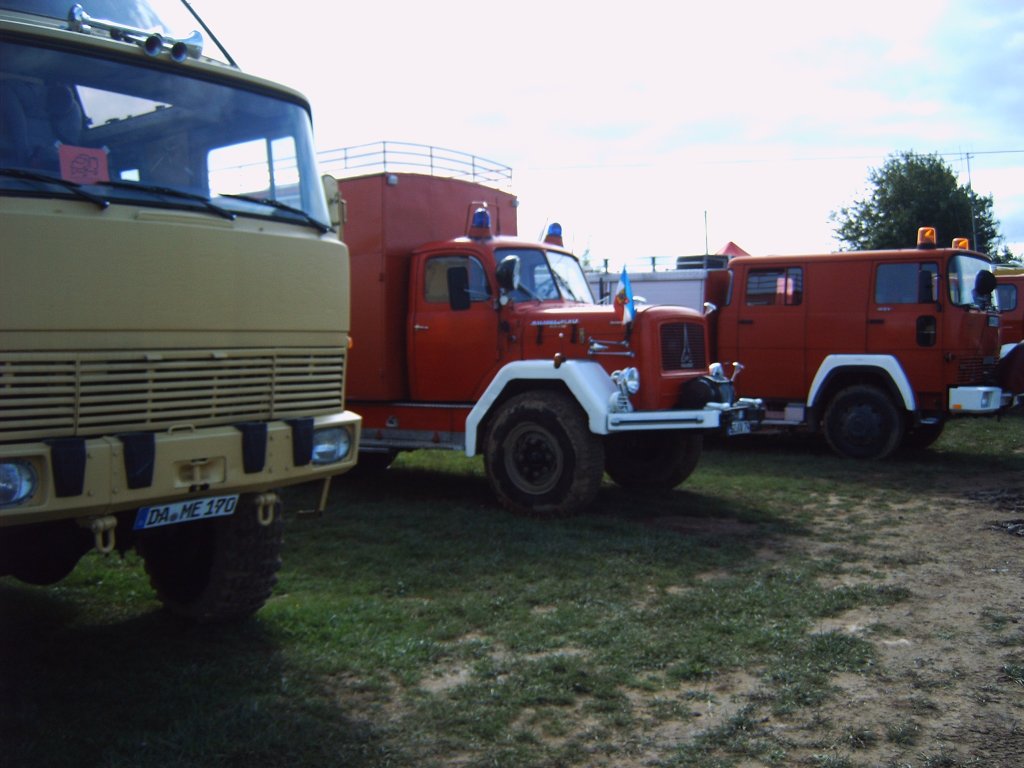 IMG00003.JPG