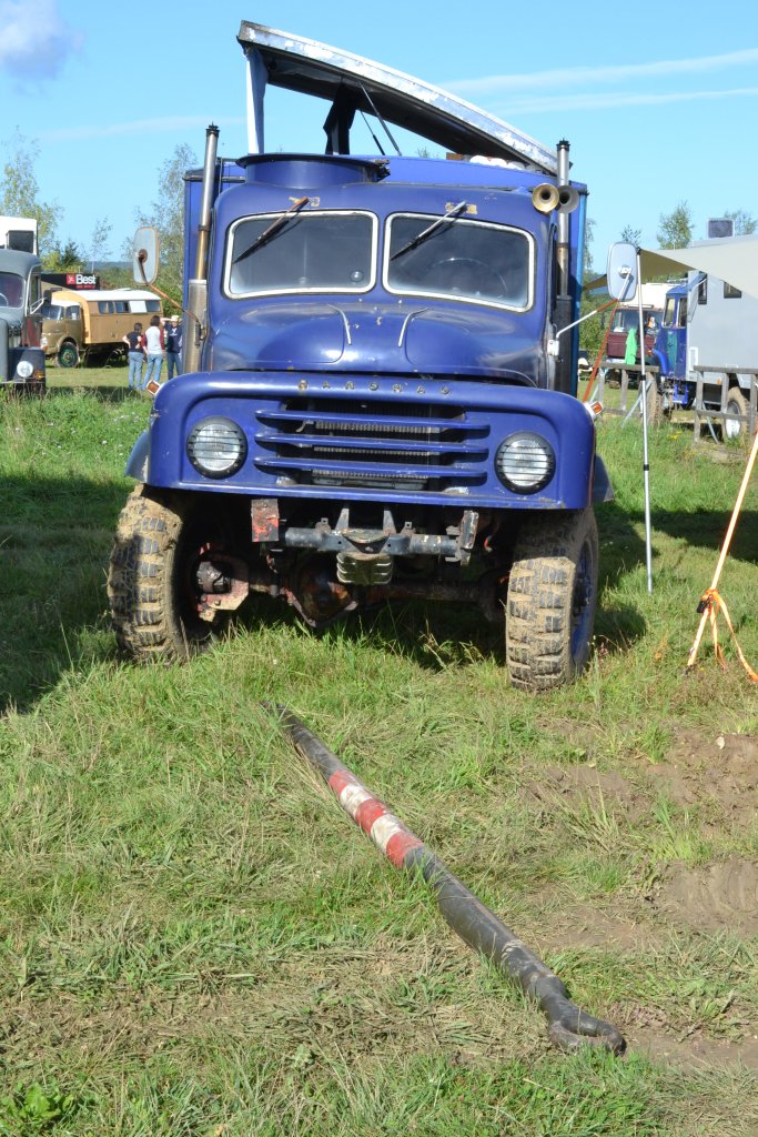 EDSC_0001.JPG