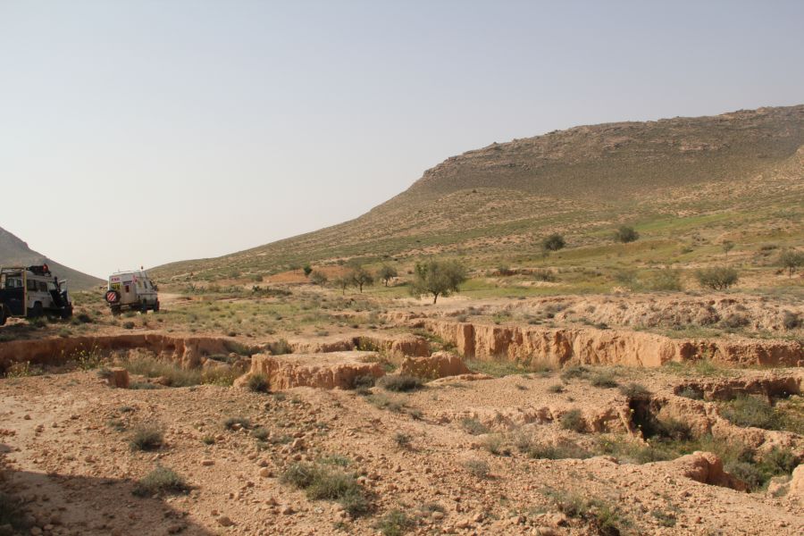 20120403-093633-uli.jpg
