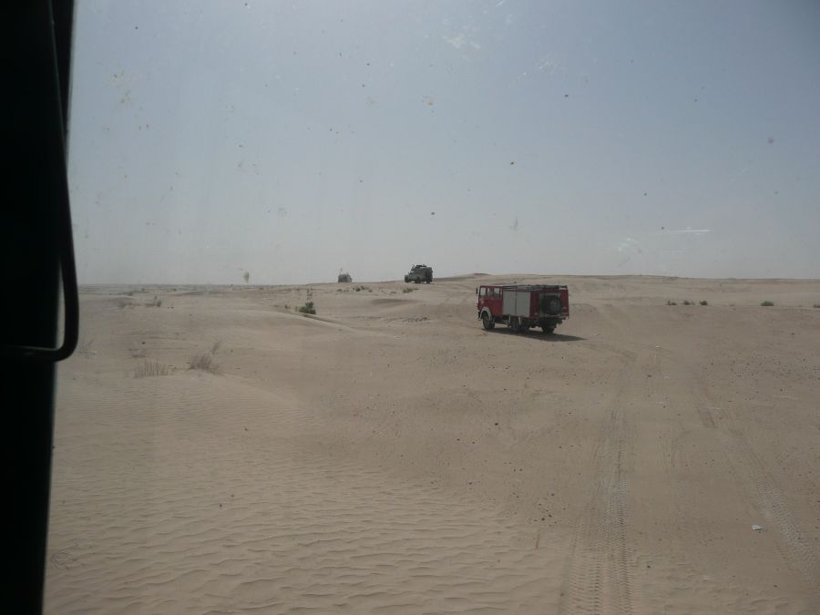 20120406-093945-filly.jpg