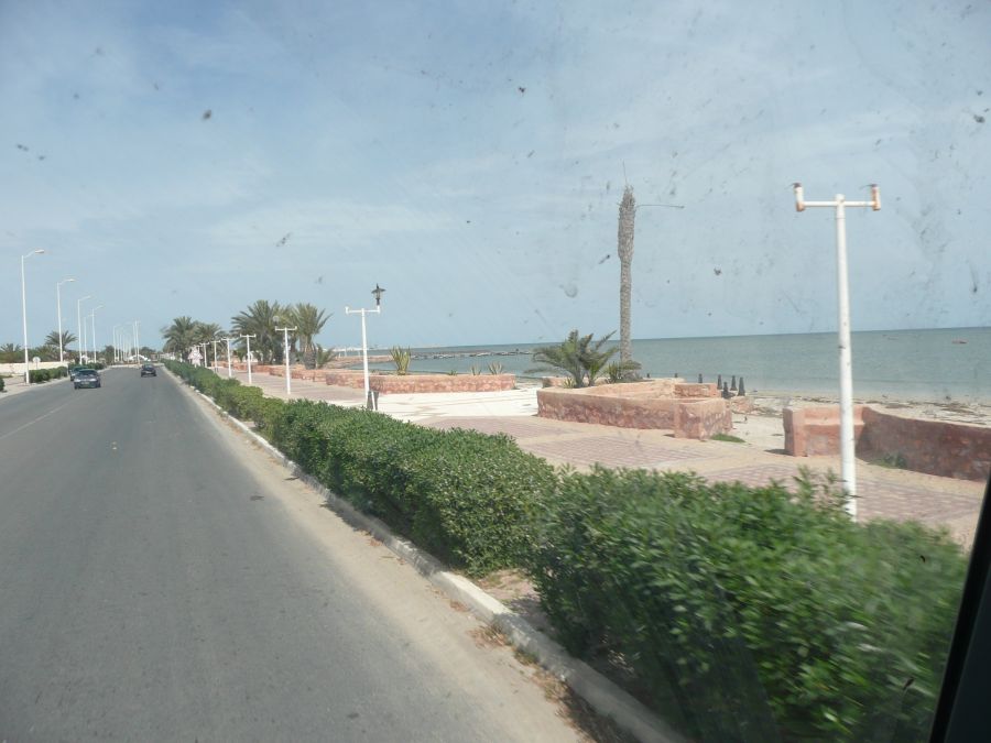 20120412-100951-filly.jpg