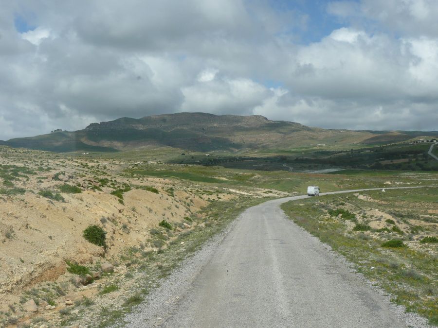 20120416-105641-filly.jpg